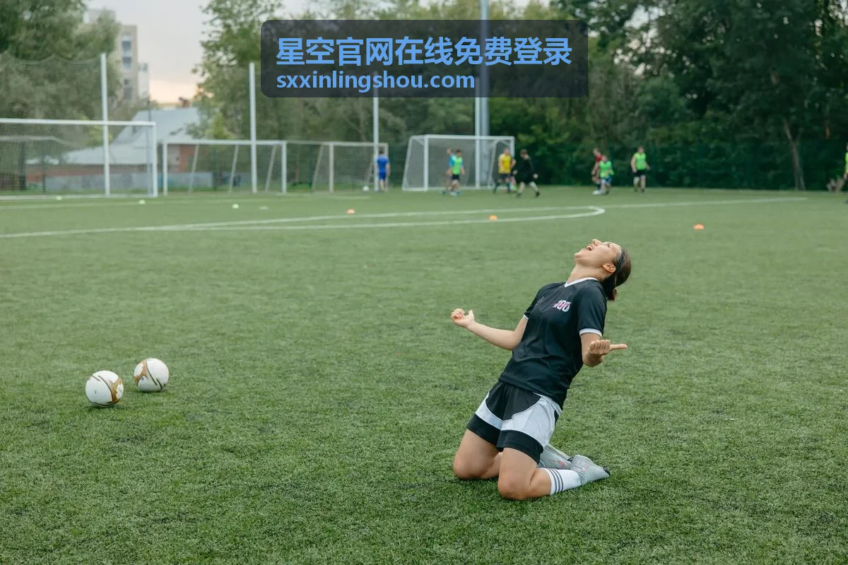 星空官网在线免费登录新账号开通与首次登录操作示意
